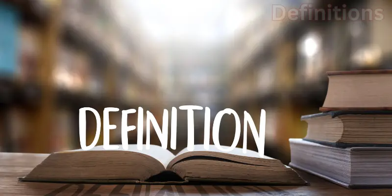 Terms and Conditions 1 Definitions