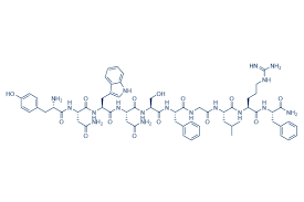Kisspeptin-10: Multifunctional Peptide Potential in Reproduction, Cognition, and Beyond