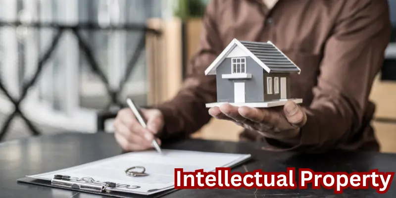 Terms and Conditions 4 Intellectual Property