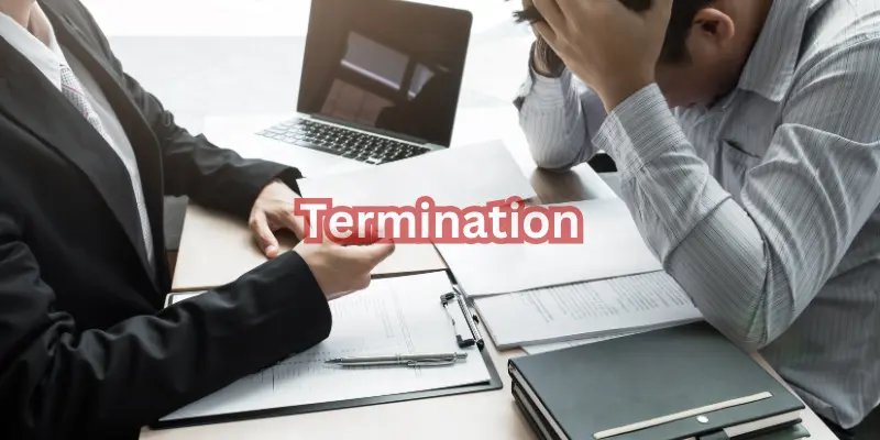 Terms and Conditions 6 Termination